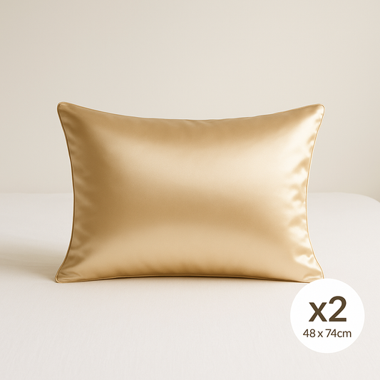 Taie d'Oreiller en Soie (x2)